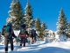 Trekking pe munte, pe zăpadă. FOTO Facebook / Mountain Trekking