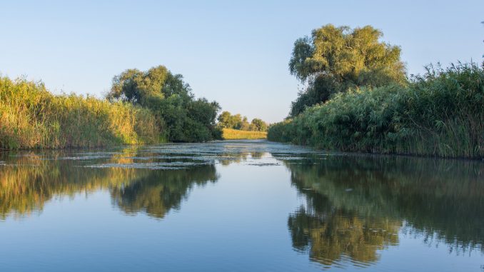 Peisaj din Delta Dunării. FOTO APDLT