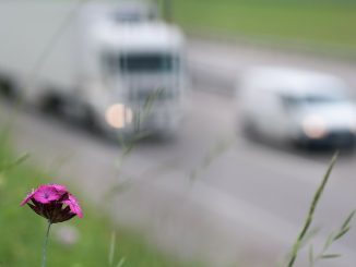 Mașini în trafic. FOTO realworkhard