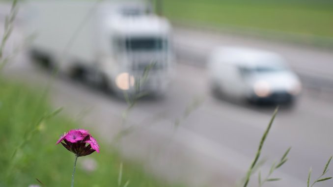 Mașini în trafic. FOTO realworkhard