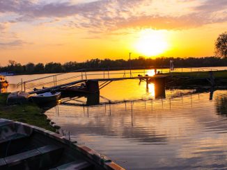 Peisaj din Delta Dunării. FOTO Adrian Boioglu