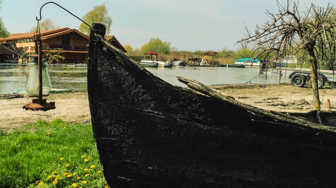 Delta Dunarii. FOTO Cătălin Schipor