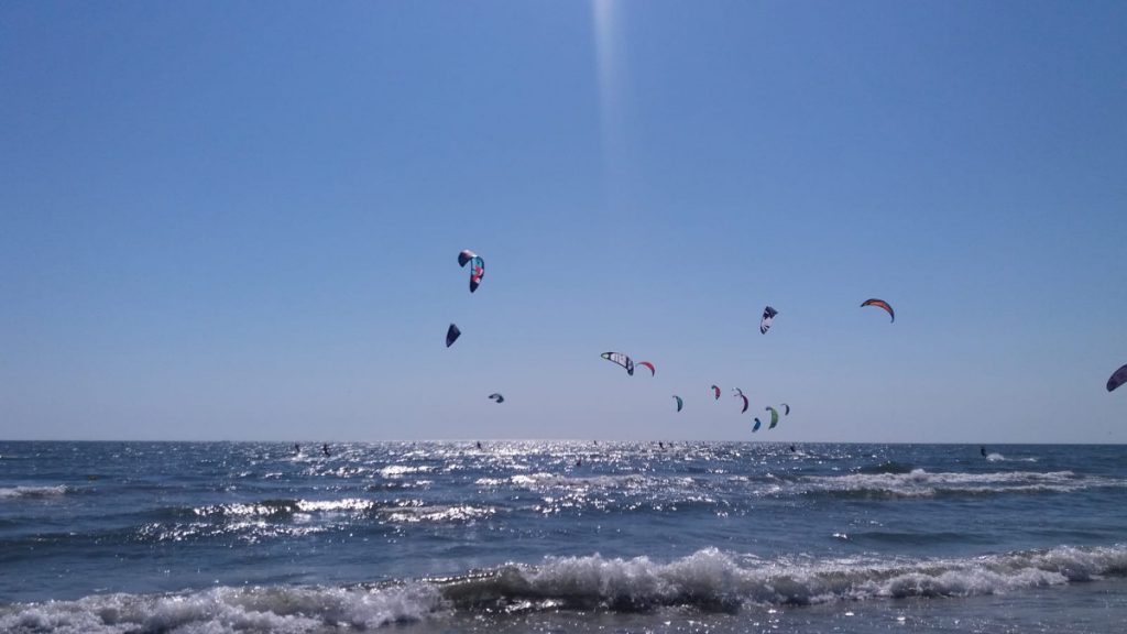 Zeci de zmeie în nordul stațiunii Mamaia, pe mare. FOTO GOnext.ro