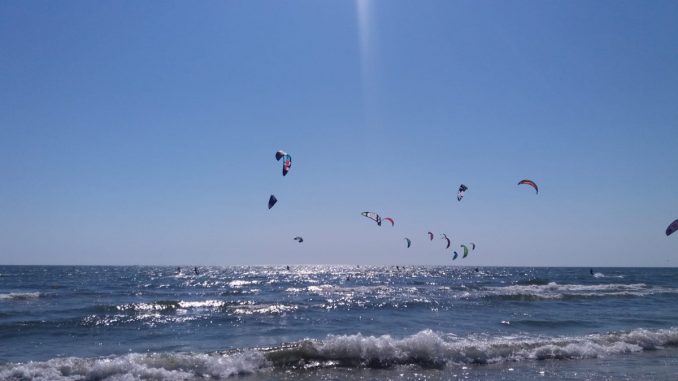 Zeci de zmeie în nordul stațiunii Mamaia, pe mare. FOTO GOnext.ro