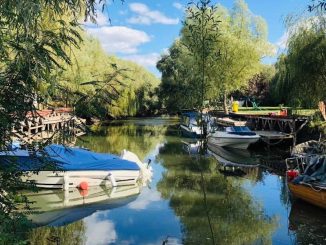 Bărci de pescuit în Delta Dunării. FOTO AMDTDD