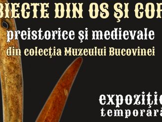 Afișul expoziției: obiecte de os și corn