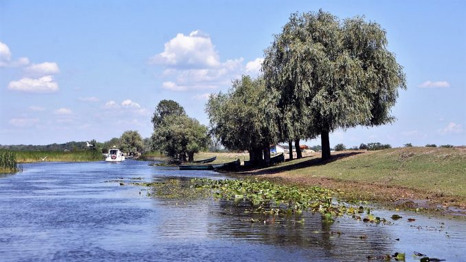 Delta Dunării, destinația ideală pentru turiștii care își doresc o vacanță în natură post-pandemie FOTO AMDTDD