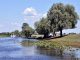 Delta Dunării, destinația ideală pentru turiștii care își doresc o vacanță în natură post-pandemie FOTO AMDTDD