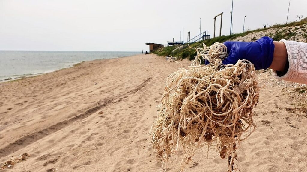 Cantitățile de deșeuri de pe plajele românești au scăzut considerabil. FOTO ONG Mare Nostrum