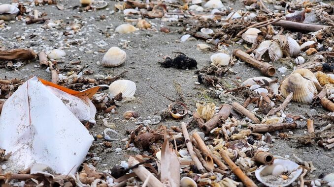 Cantitățile de deșeuri de pe plajele românești au scăzut considerabil. FOTO ONG Mare Nostrum