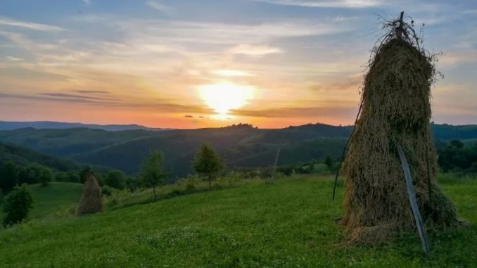 Valea Almăjului. FOTO Claudu Vatau