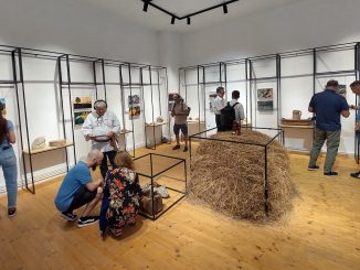 Geoecoparcul Ținutul Buzăului. FOTO Chapter 4
