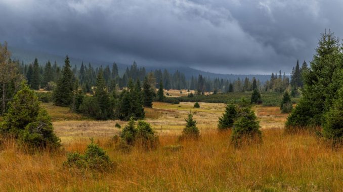 Parcul National Sumava (1)